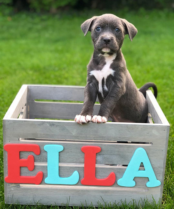 ella f 9 a pb